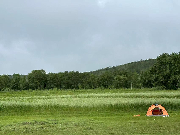 这里是公司新闻分类的标题，可以加文字149984192